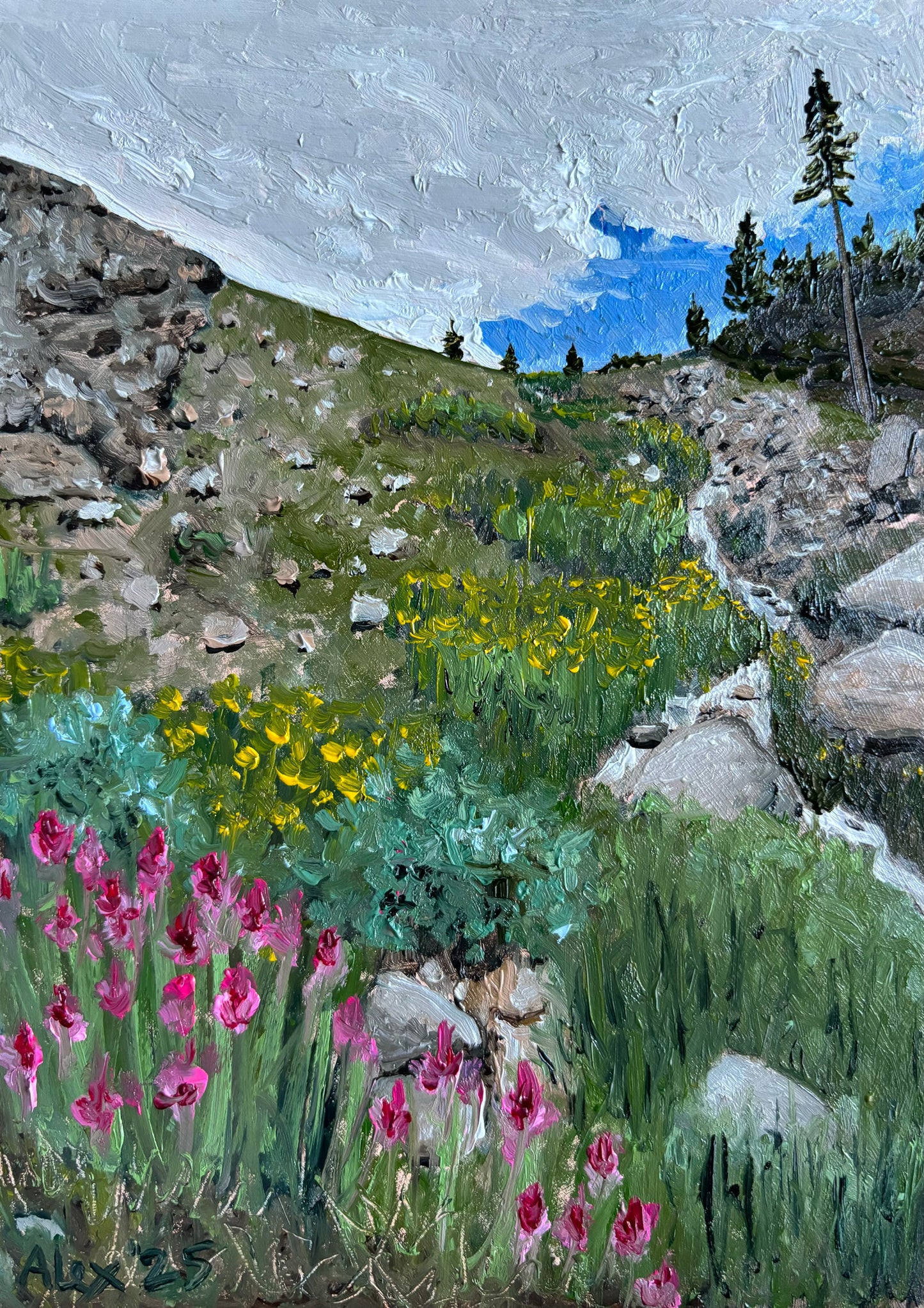 Wildflowers in the Wilderness