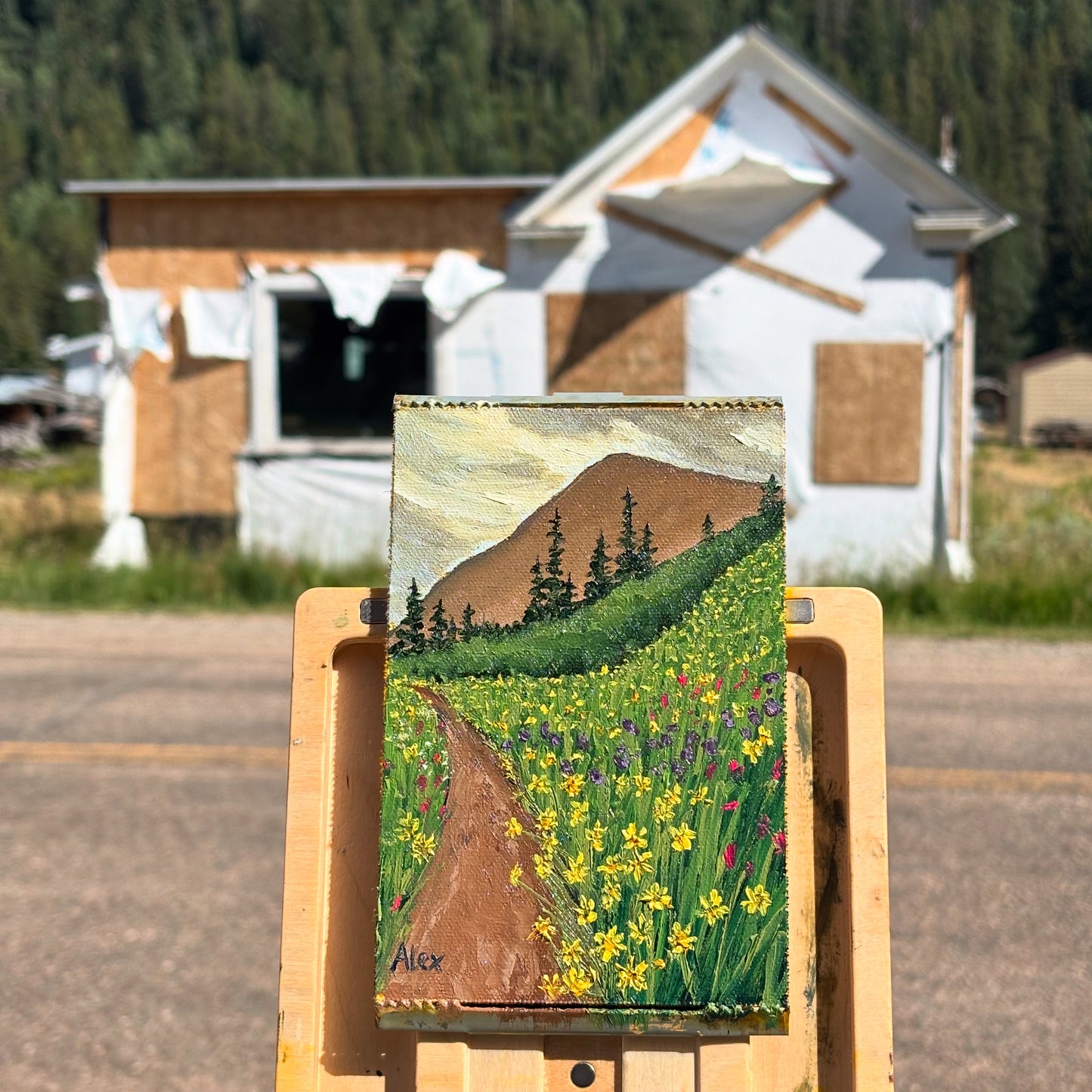 Sun Showers and Wildflowers (study)