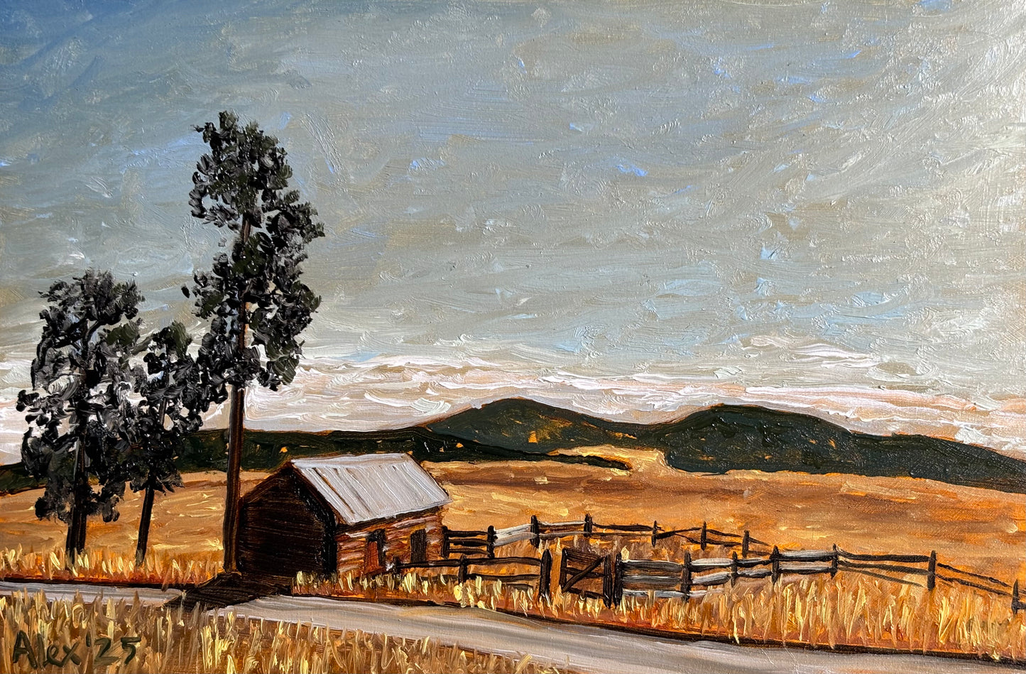 Valle Grande (study)