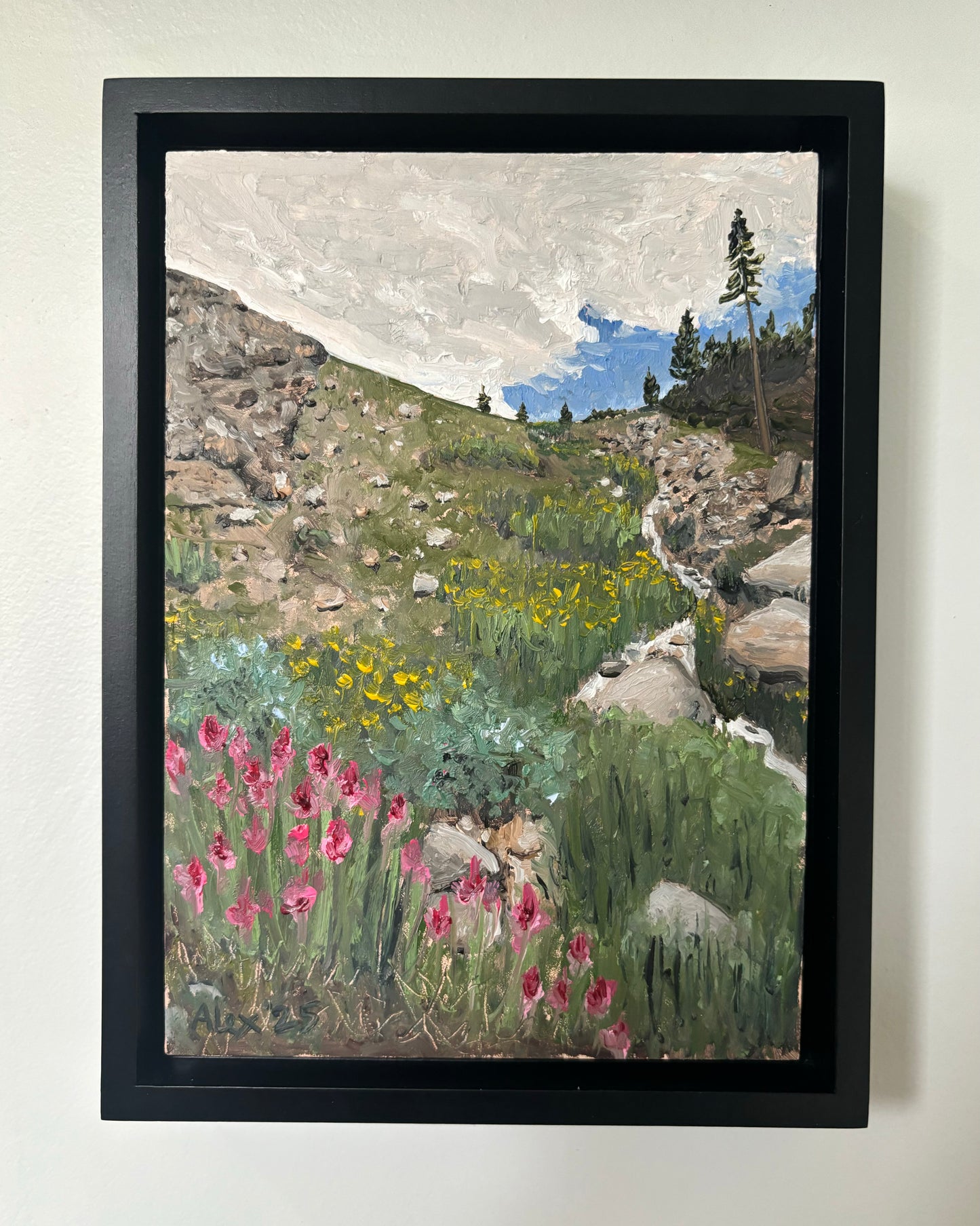 Wildflowers in the Wilderness