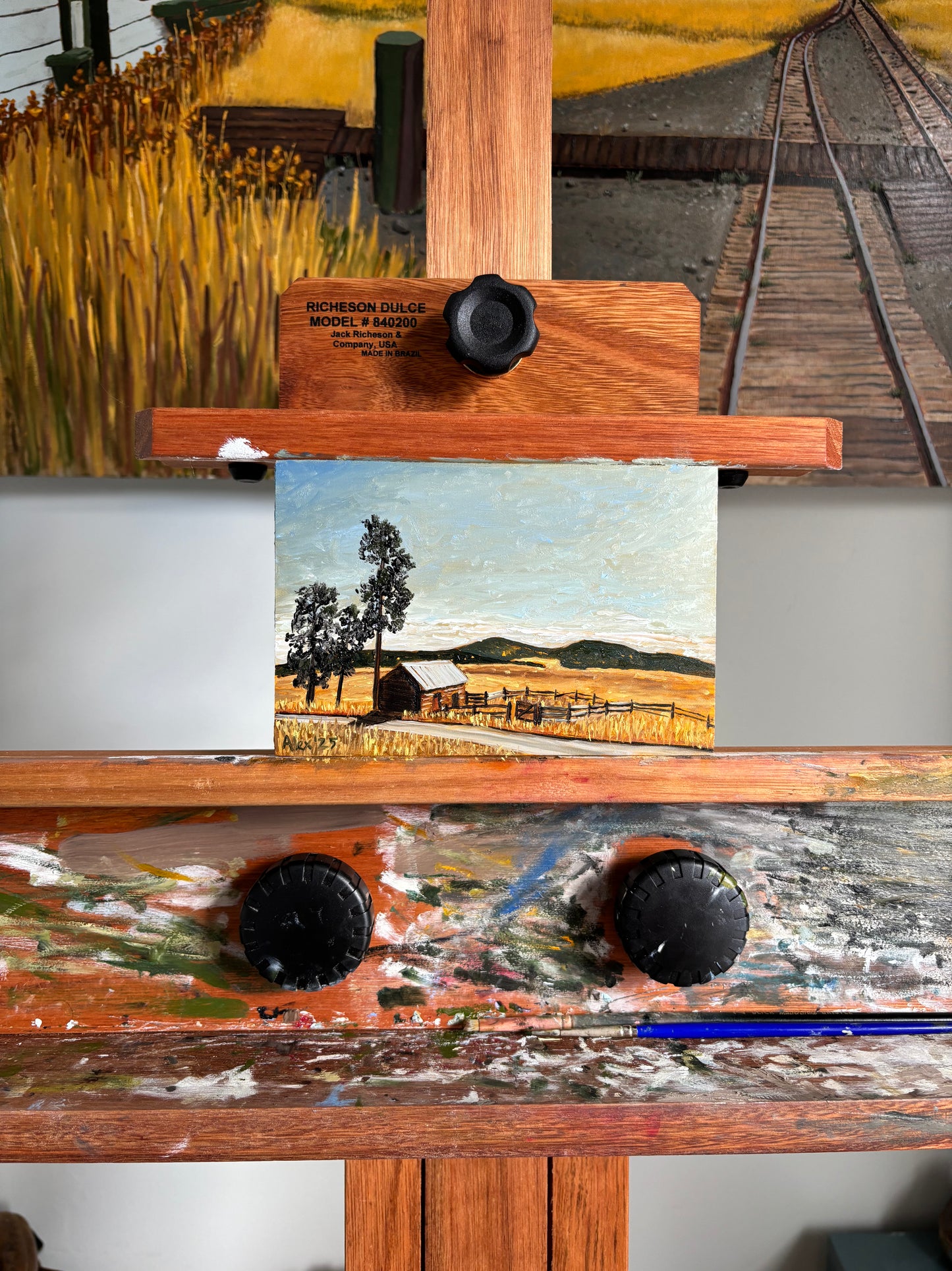 Valle Grande (study)