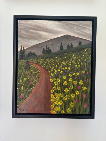 Rain Showers and Wildflowers