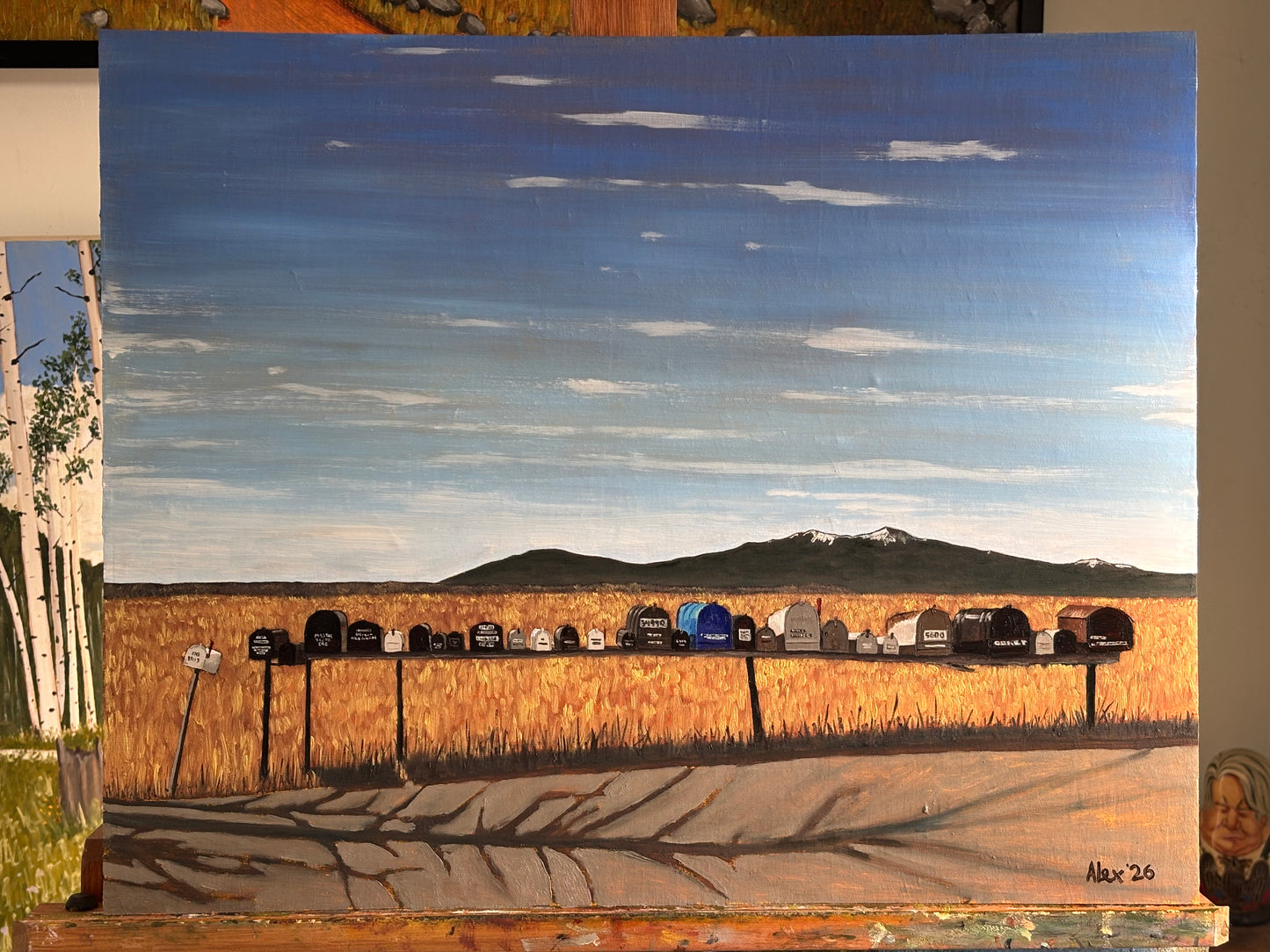 29 Mailboxes in La Garita