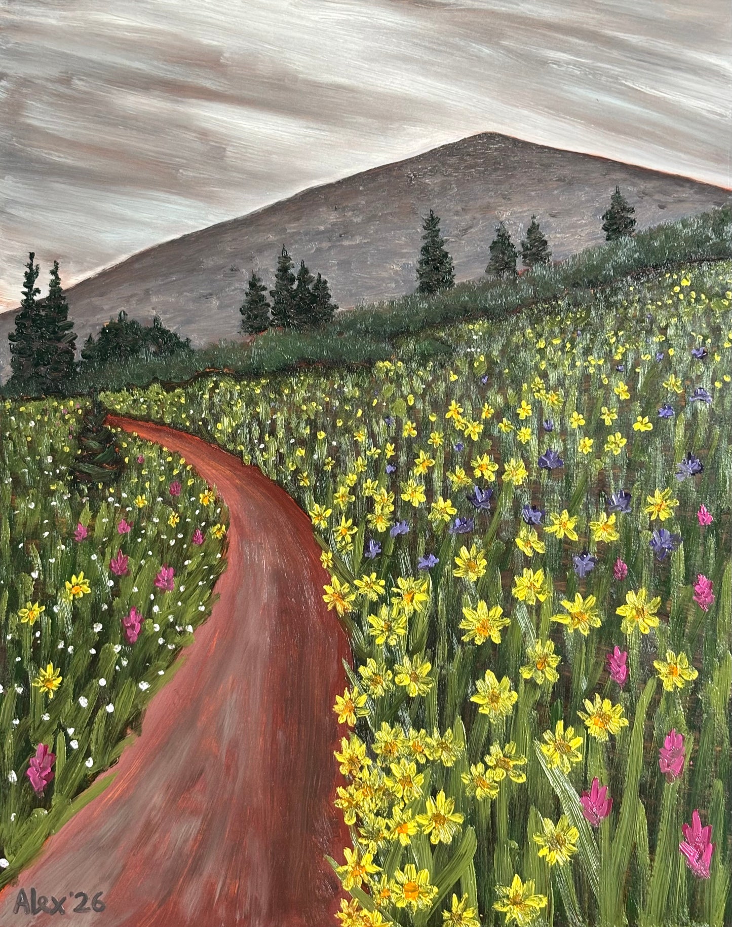 Rain Showers and Wildflowers