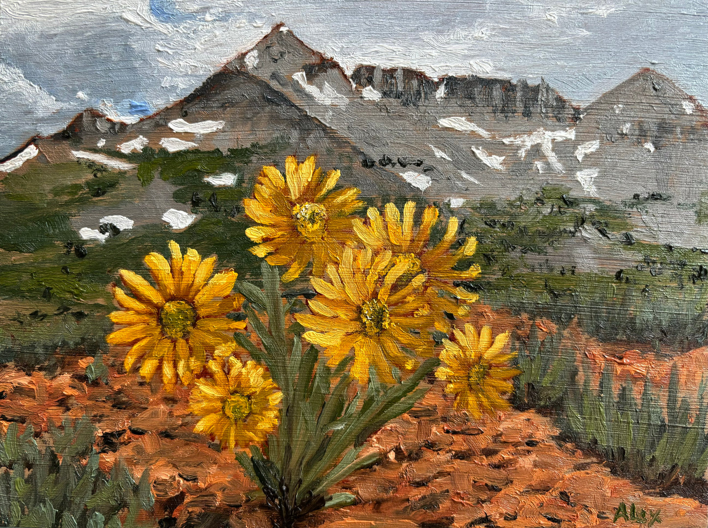 Alpine Sunflowers