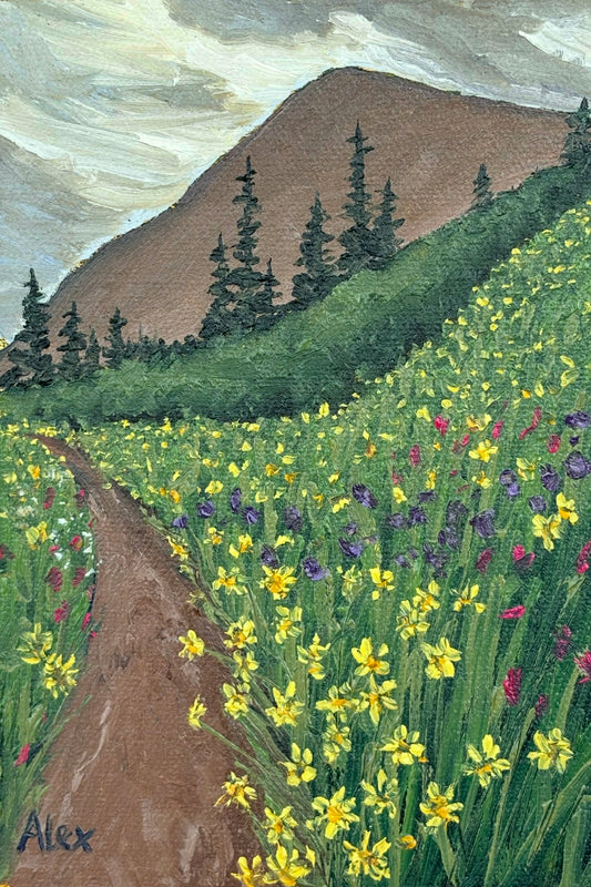 Sun Showers and Wildflowers (study)