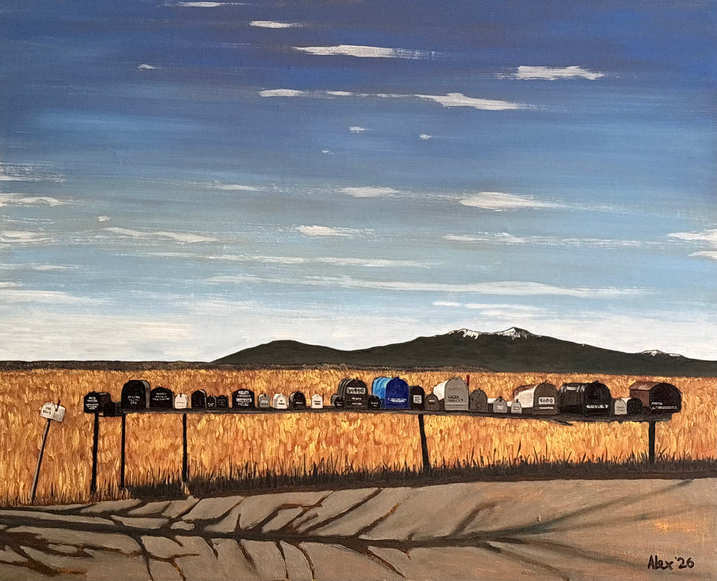 29 Mailboxes in La Garita