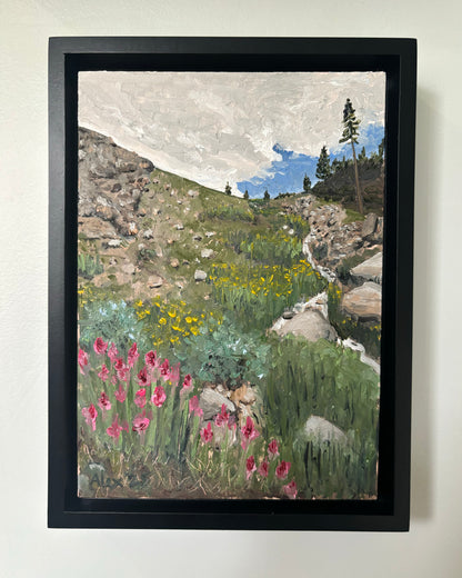 Wildflowers in the Wilderness