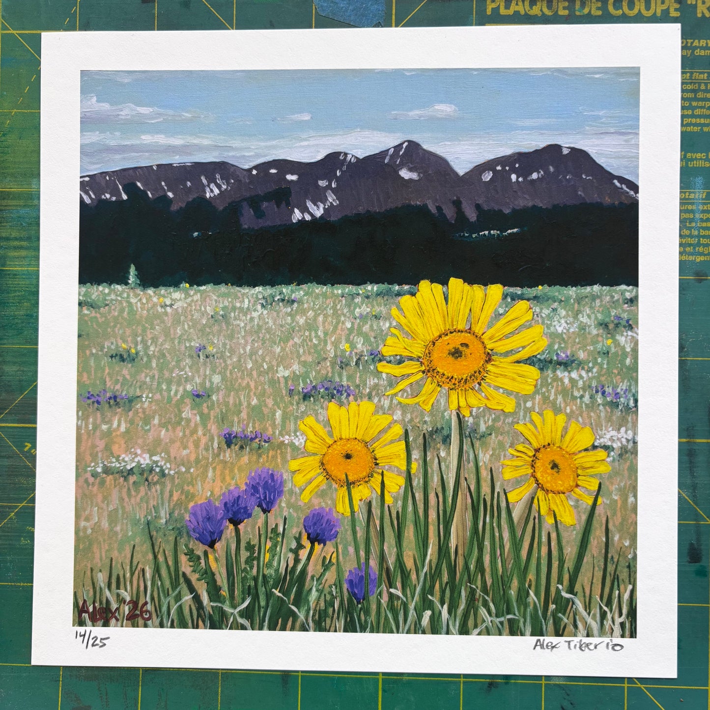 Flowers on Fairview (archival print)