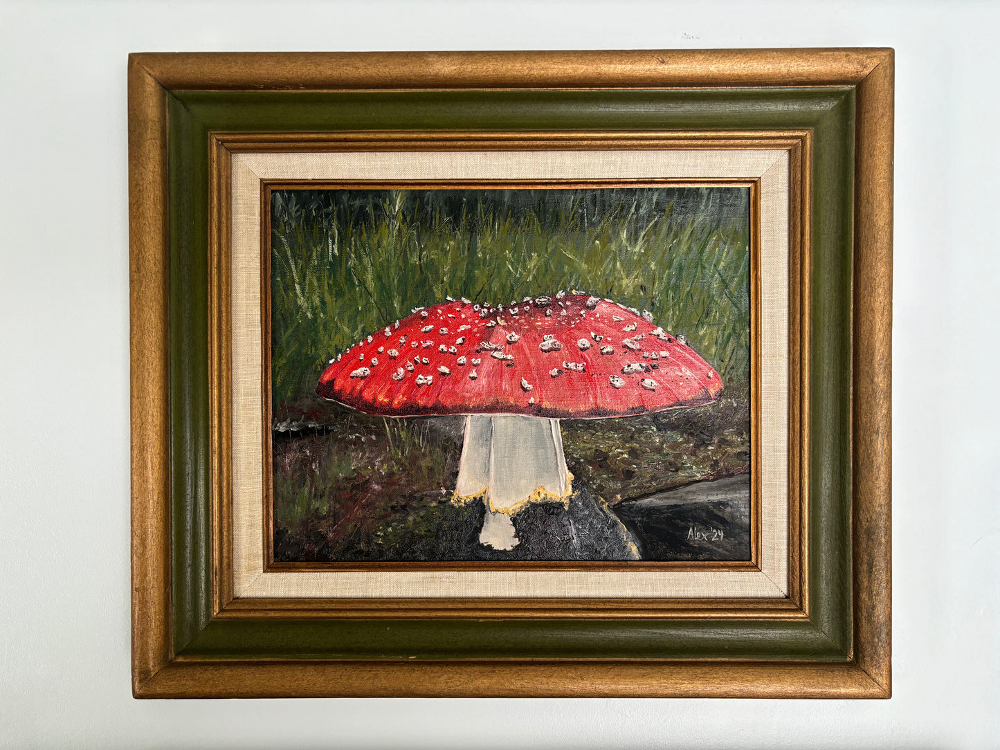 Amanita muscaria